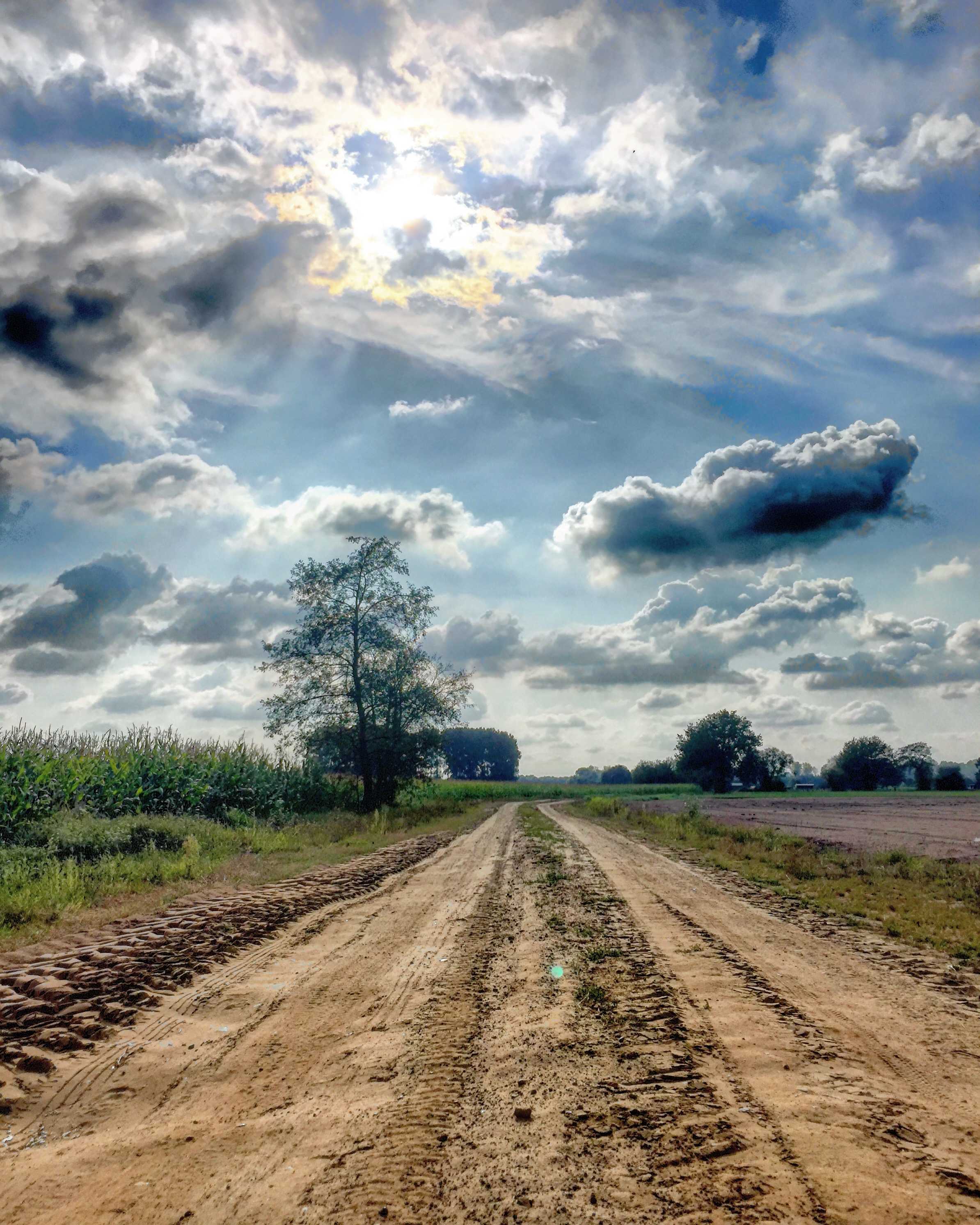 A field with a dirt road.