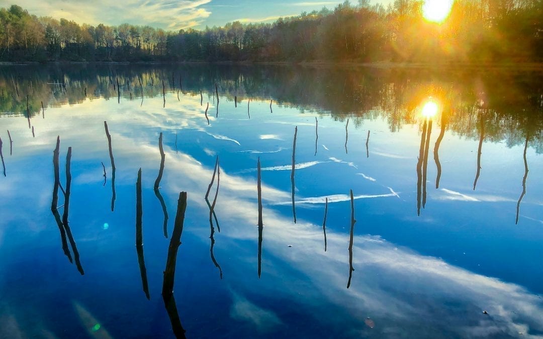 Sticks and branches sticking out of the water of a lake in a forest under a blue sky with a setting or rising sun, all reflected on the surface of the water