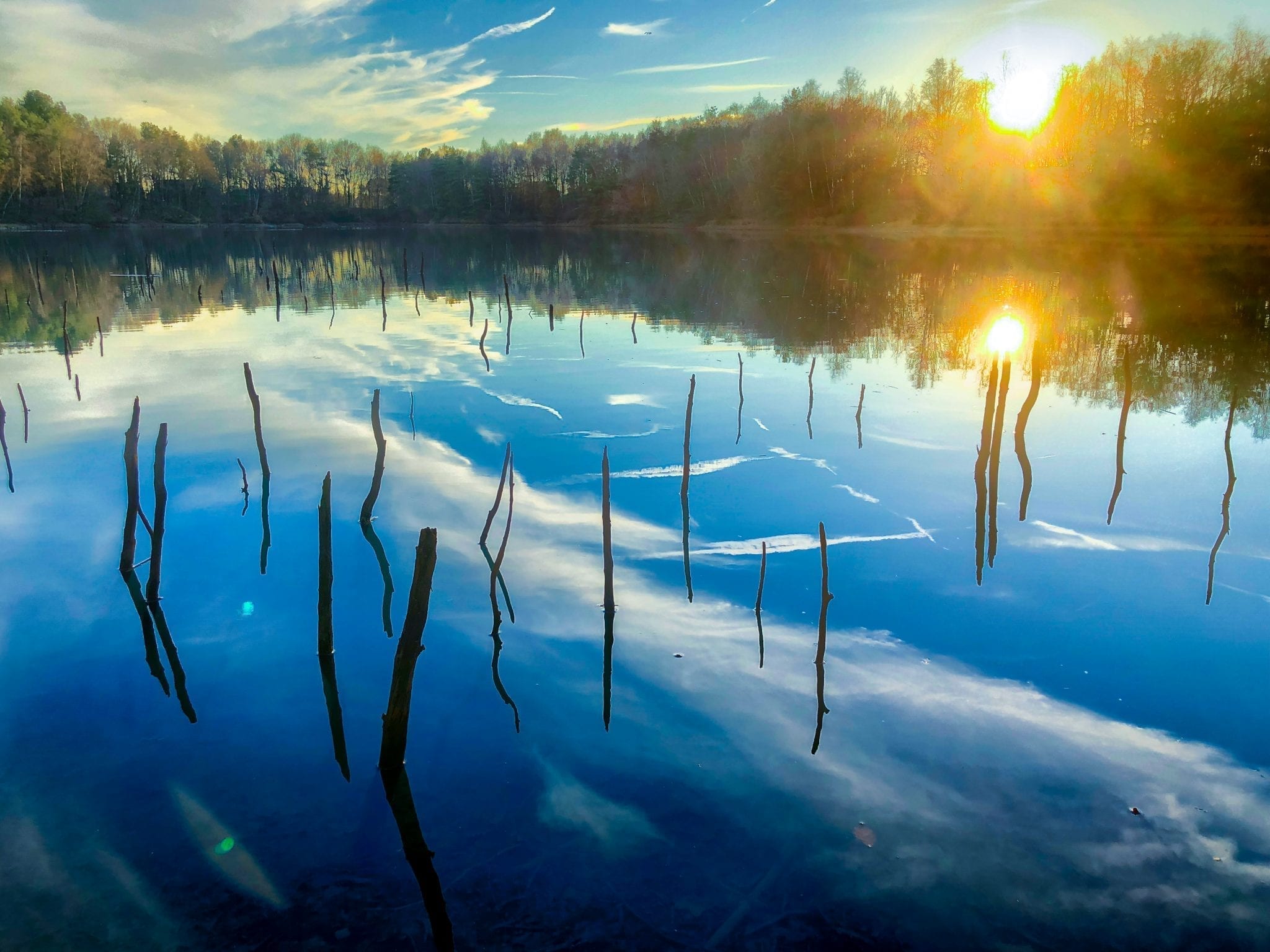 Sticks and branches sticking out of the water of a lake in a forest under a blue sky with a setting or rising sun, all reflected on the surface of the water