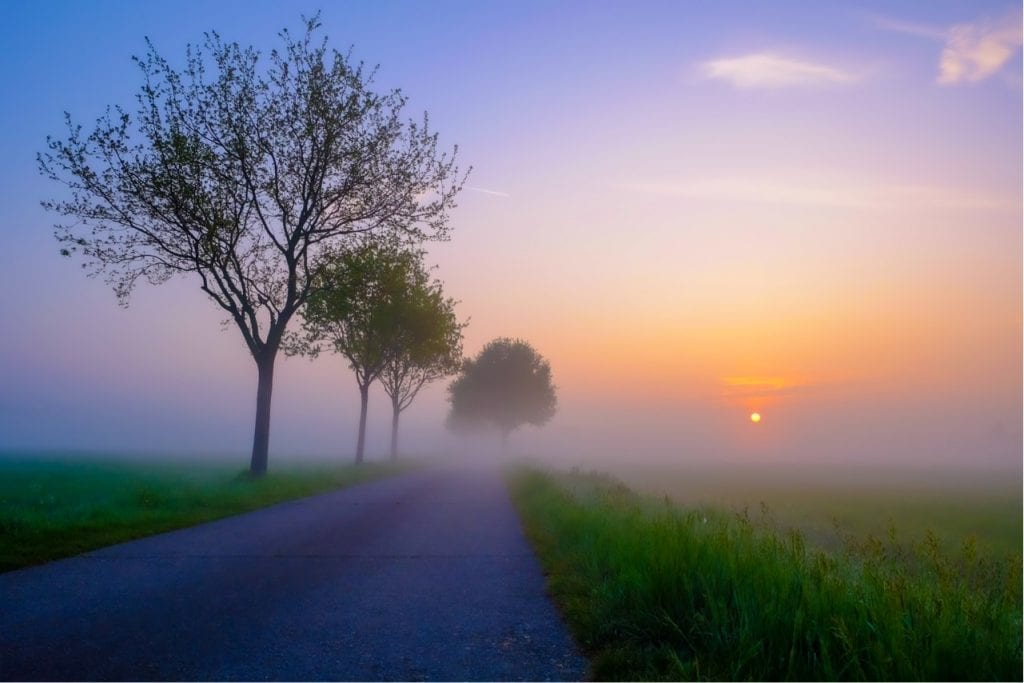 Diminishing view of road in foggy weather at sunset