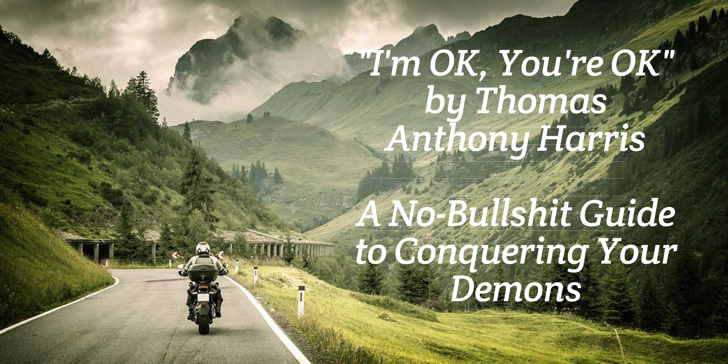 A No-Bullshit Guide to Conquering Your Demons by Anthony Harris.
