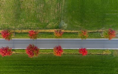 Capturing Autumn’s Ephemeral Beauty: A Drone’s Perspective